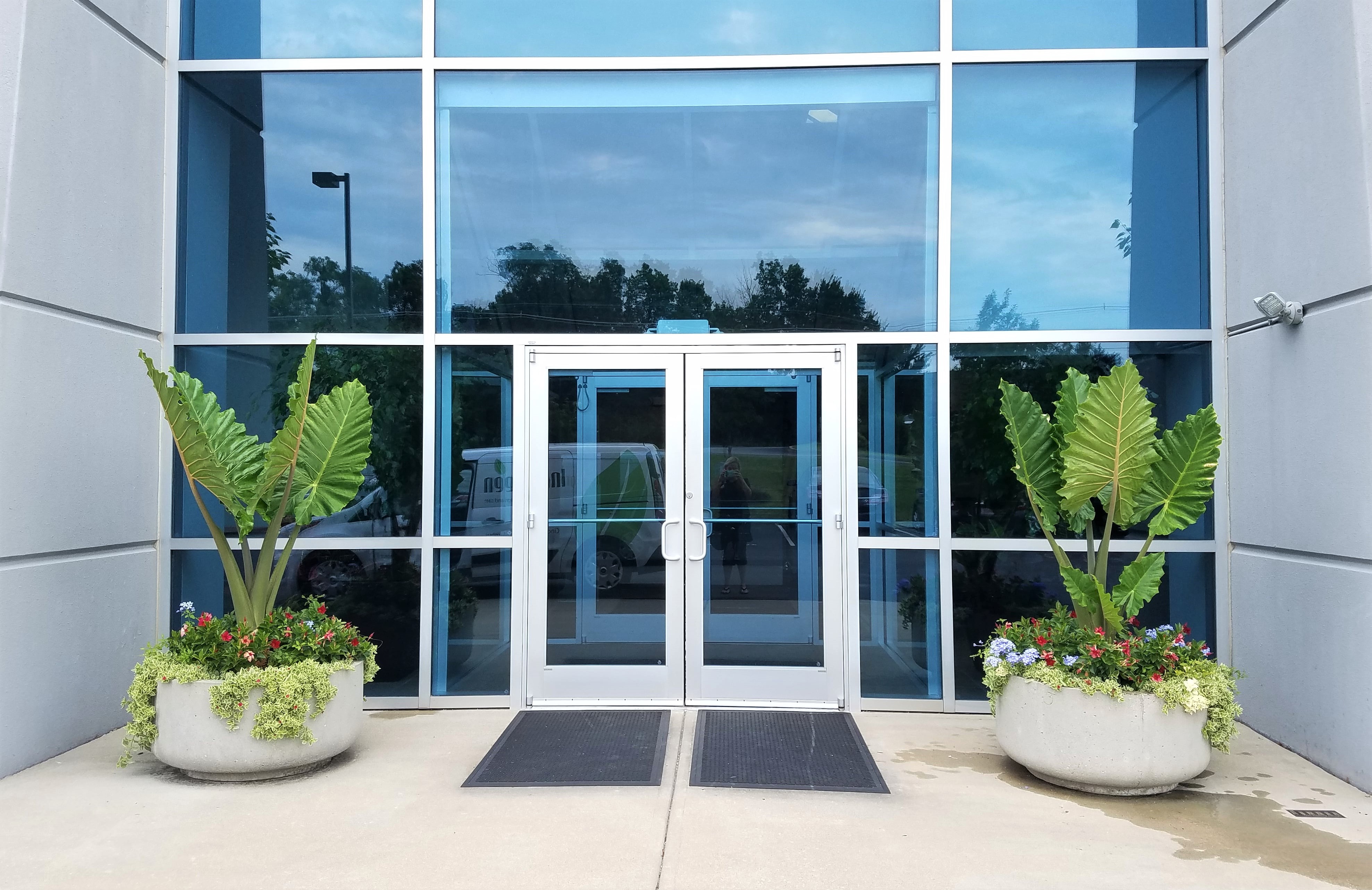 front door landscaping