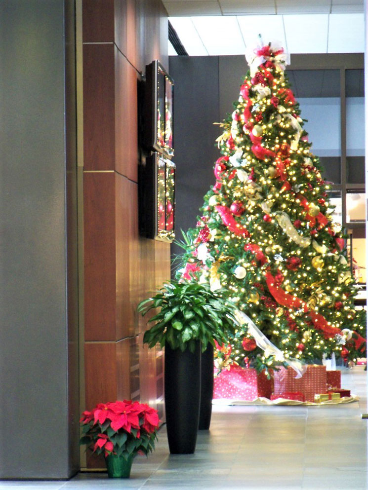 Commercial Christmas Decorating Service - Interior & Exterior Designs