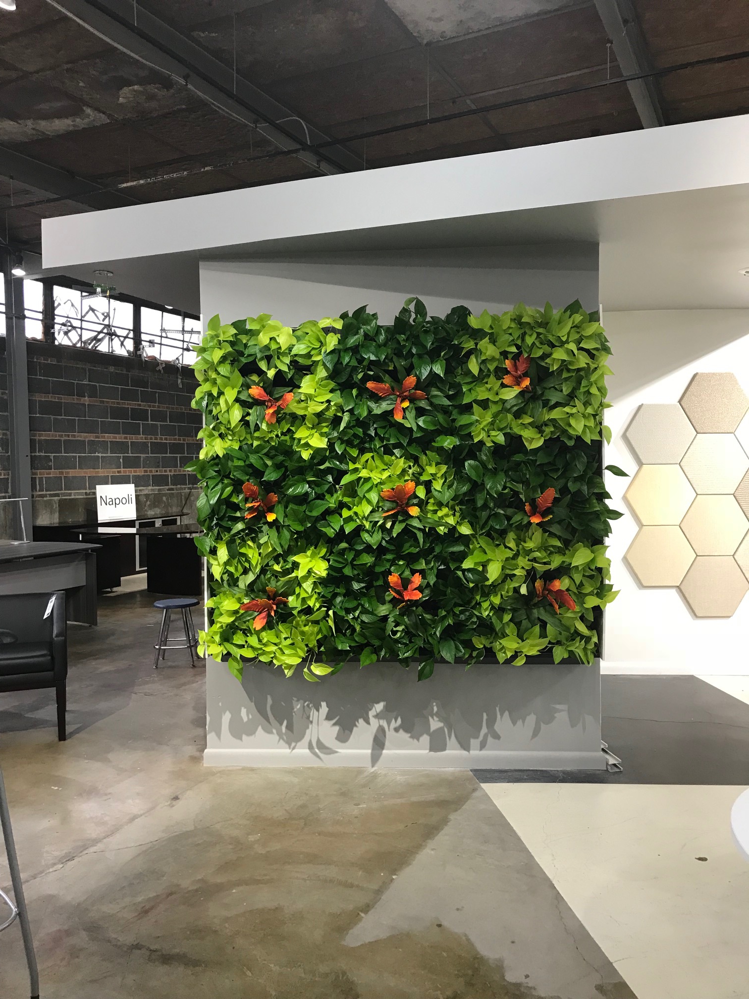 Simple How To Make A Living Wall for Large Space